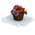 Biała serwetka premium z koronką ekspozycja z doniczką